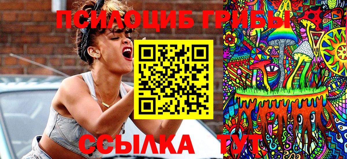 Галлюциногенные грибы Psilocybine cubensis  Вход с VPN  Обь  Псилоцибиновые грибы Psilocybe 